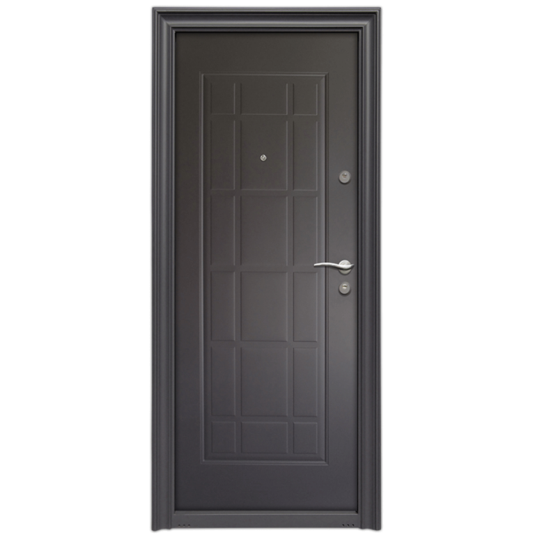 Usa metalica pentru exterior Tracia Napoca
